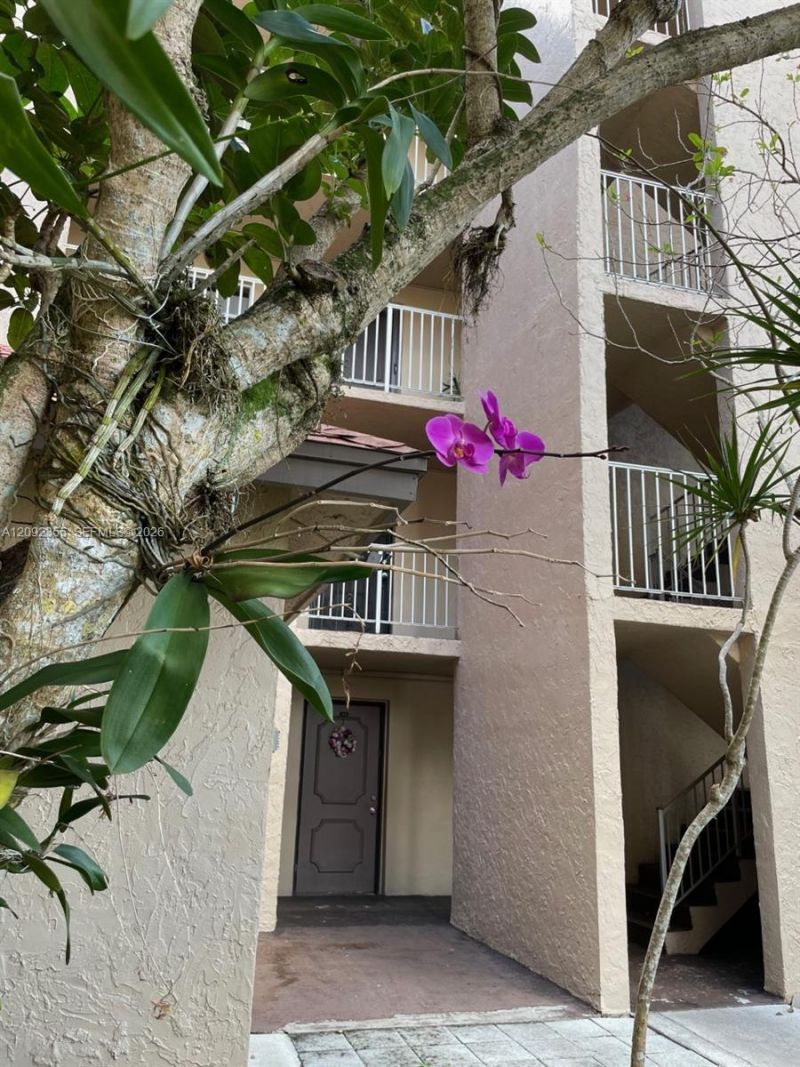 9431 Live Oak Pl , Unit 203, Davie, FL 33324 Photo