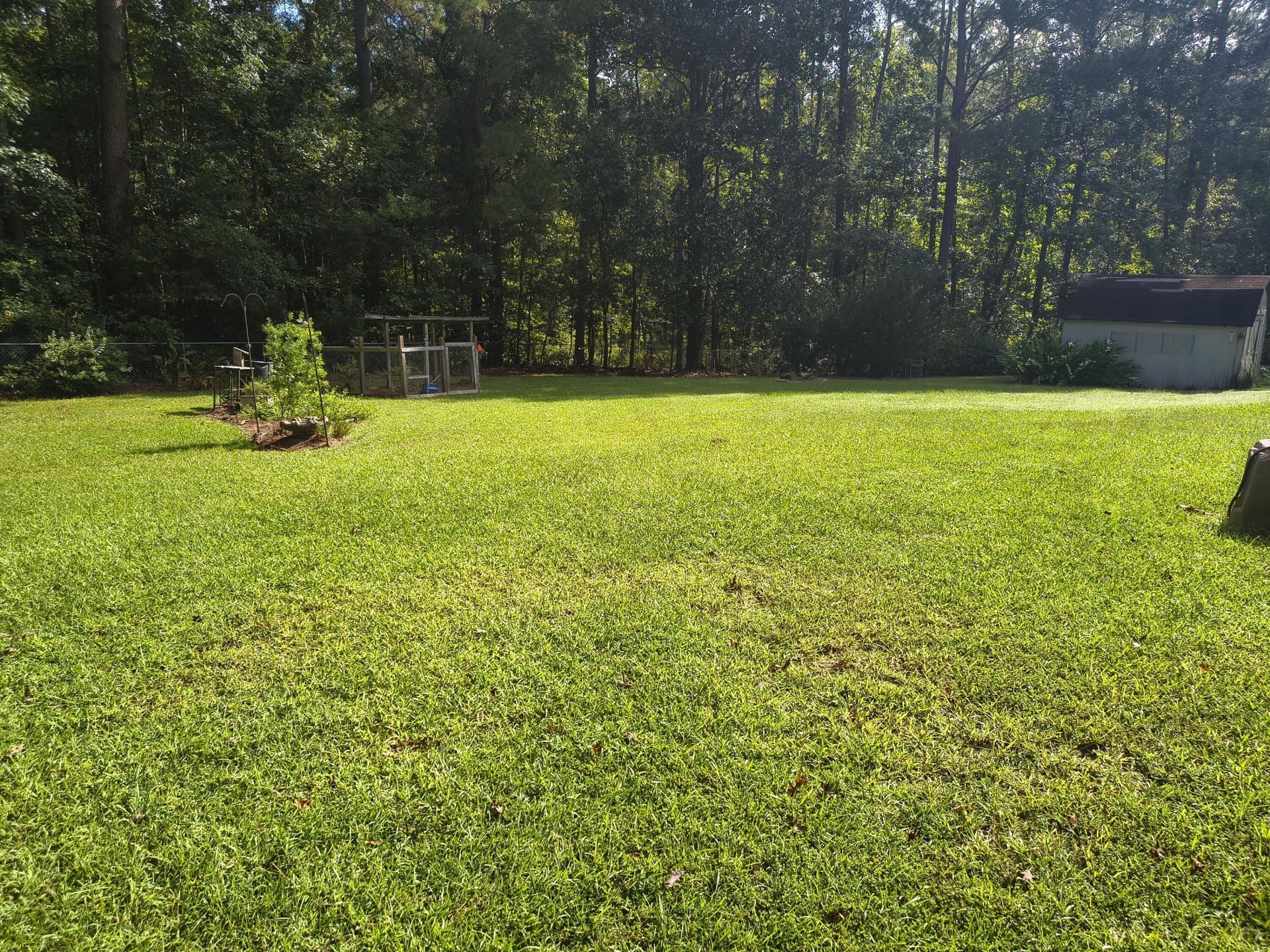 219 Ridge Lake Drive Photo 44