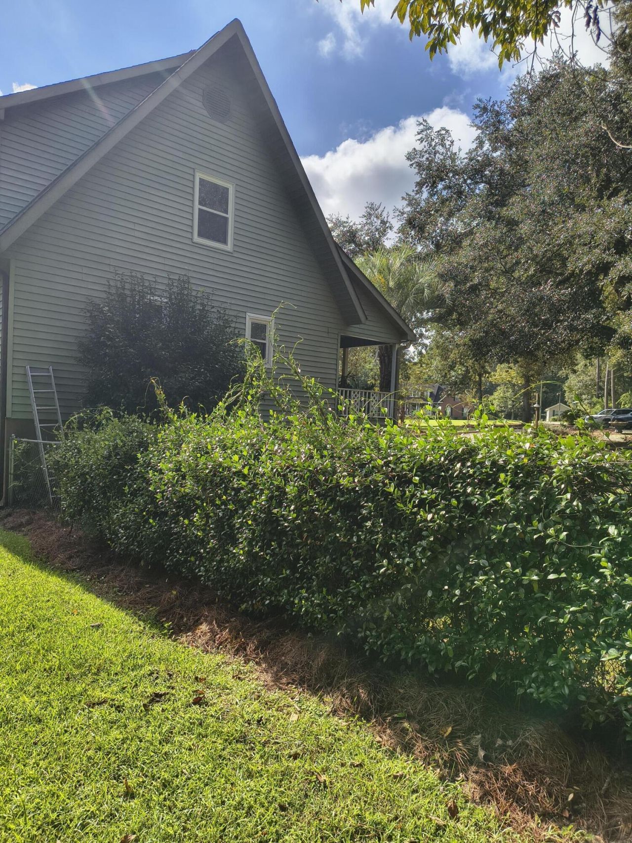 219 Ridge Lake Drive Photo 46