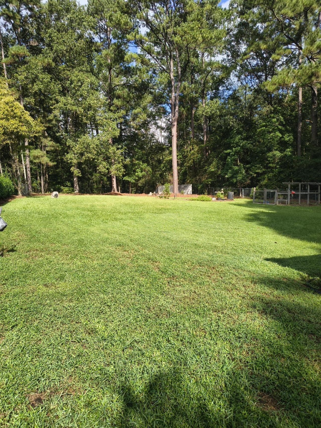 219 Ridge Lake Drive Photo 50