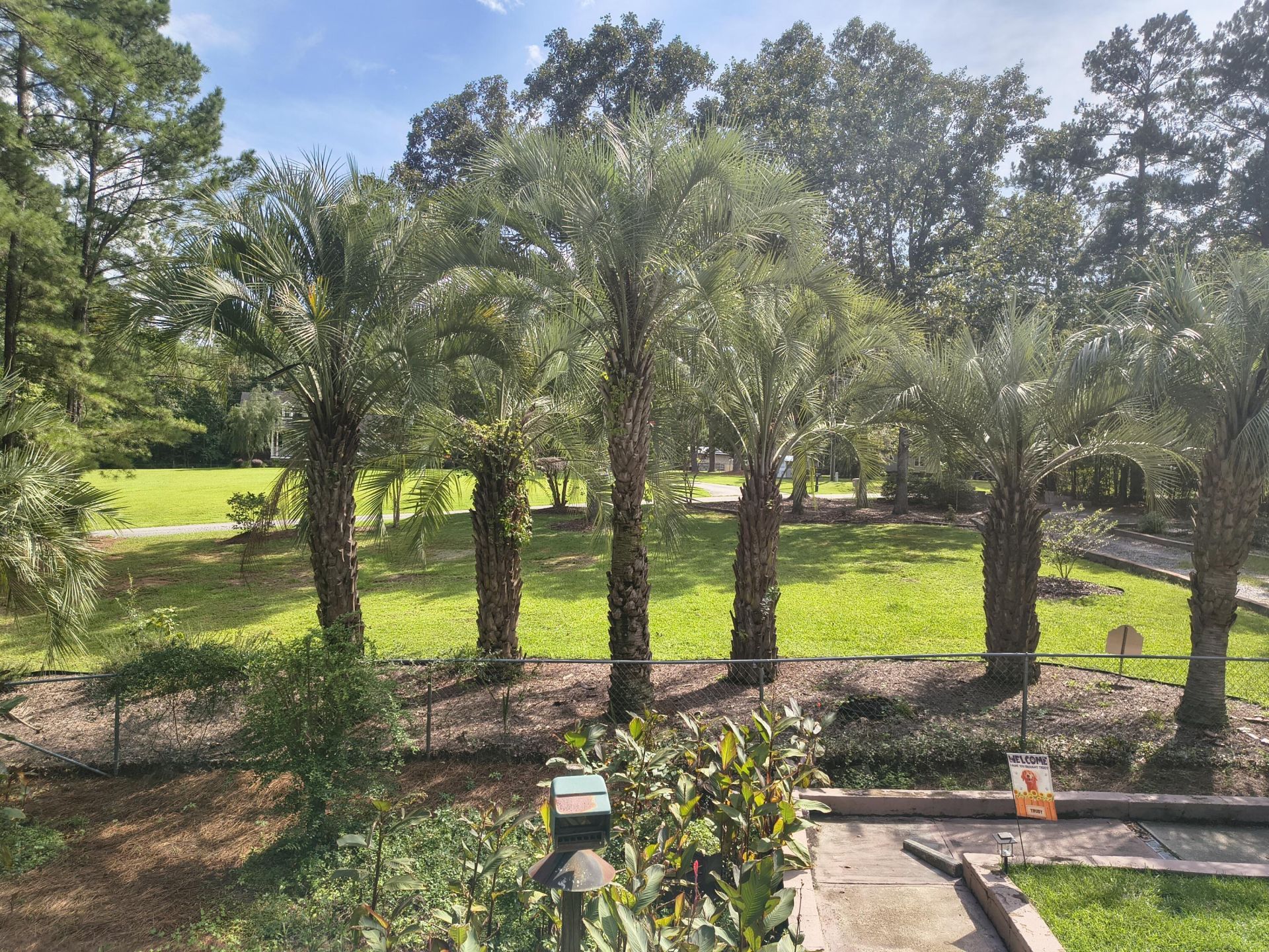219 Ridge Lake Drive Photo 58