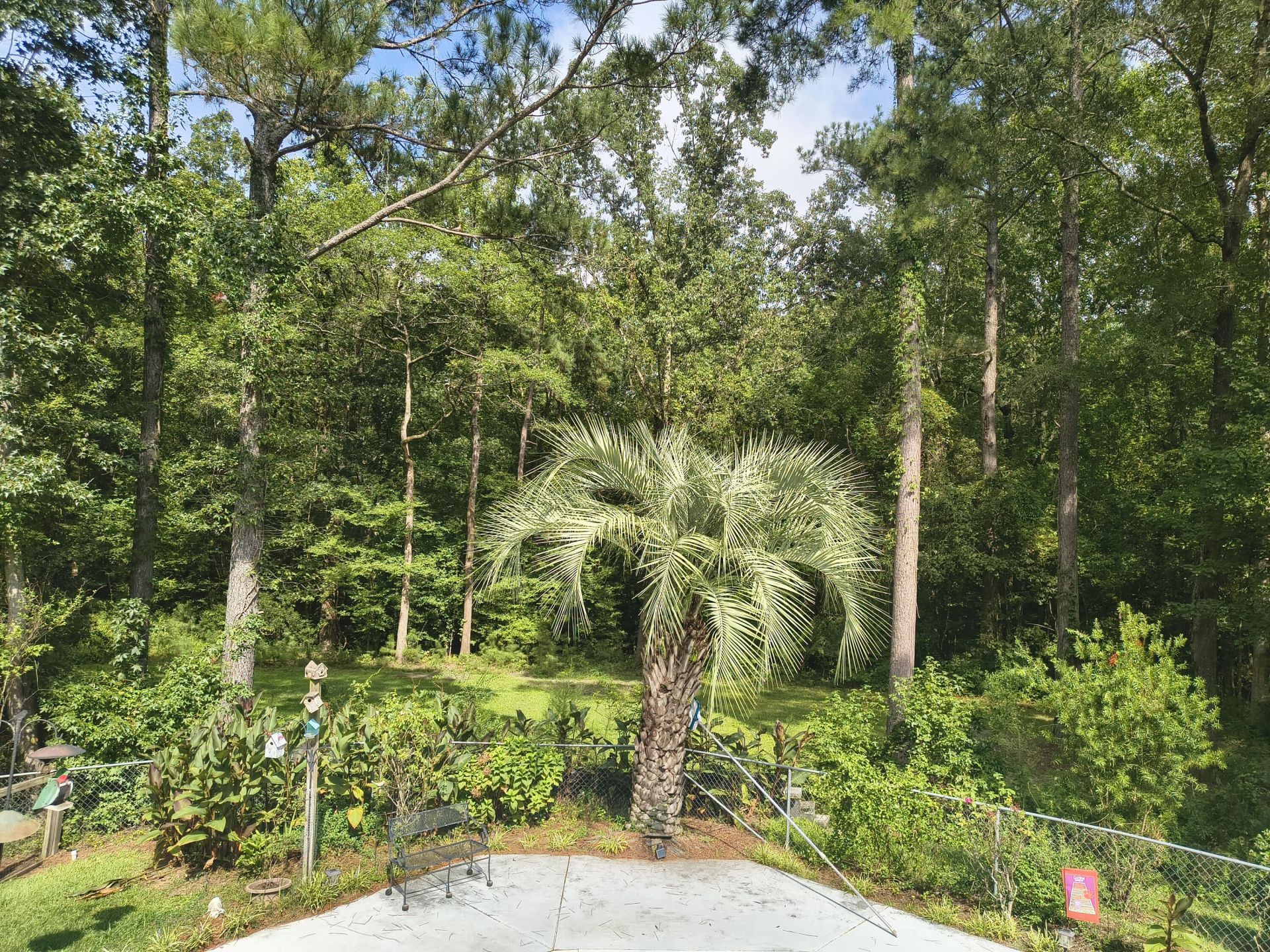 219 Ridge Lake Drive Photo 59