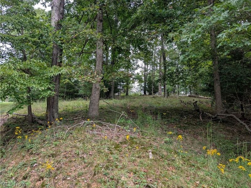 13683 E Pike Road, Cambridge, OH 43725 Photo 47
