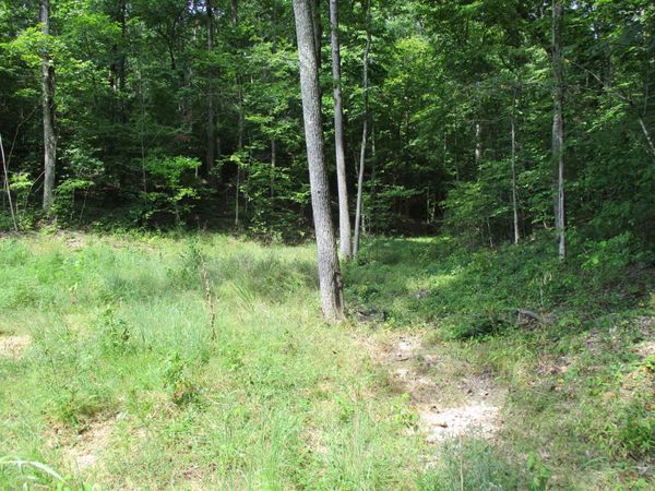 1613 Red Bank Creek Rd , Lobelville, TN 37097
