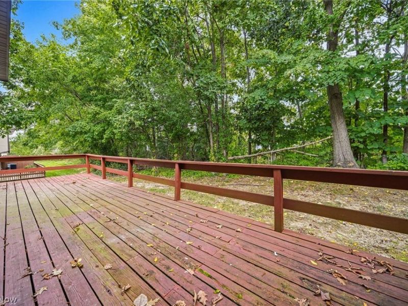 7029 Woodthrush Drive, Painesville, OH 44077 Photo 19