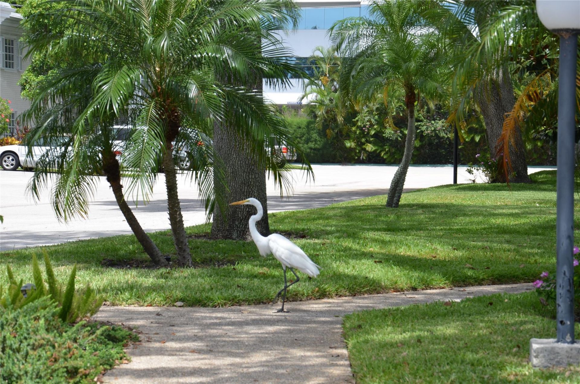 6201 Bay Club Drive, Unit 4, Fort Lauderdale, FL 33308 Photo