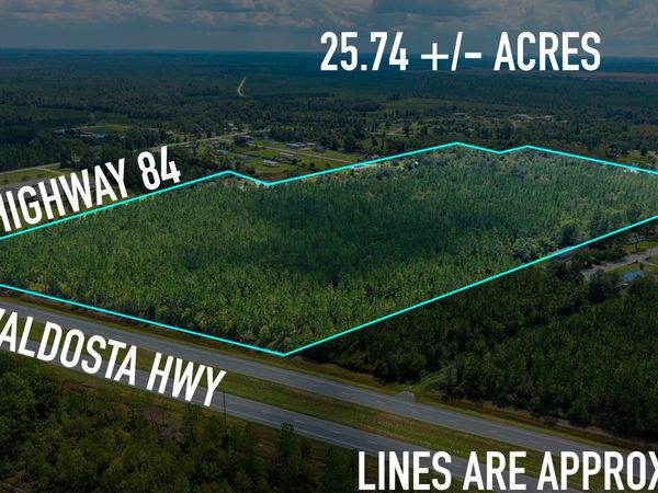 0 Highway 84, Homerville, GA 31634