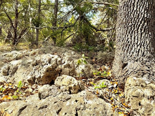 2519 George PASS , Canyon Lake, TX 78133