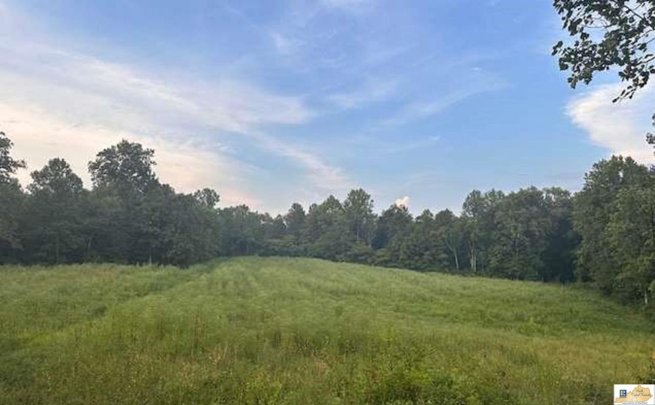 1705 Jones School Road , Magnolia, KY 42757 Main Photo