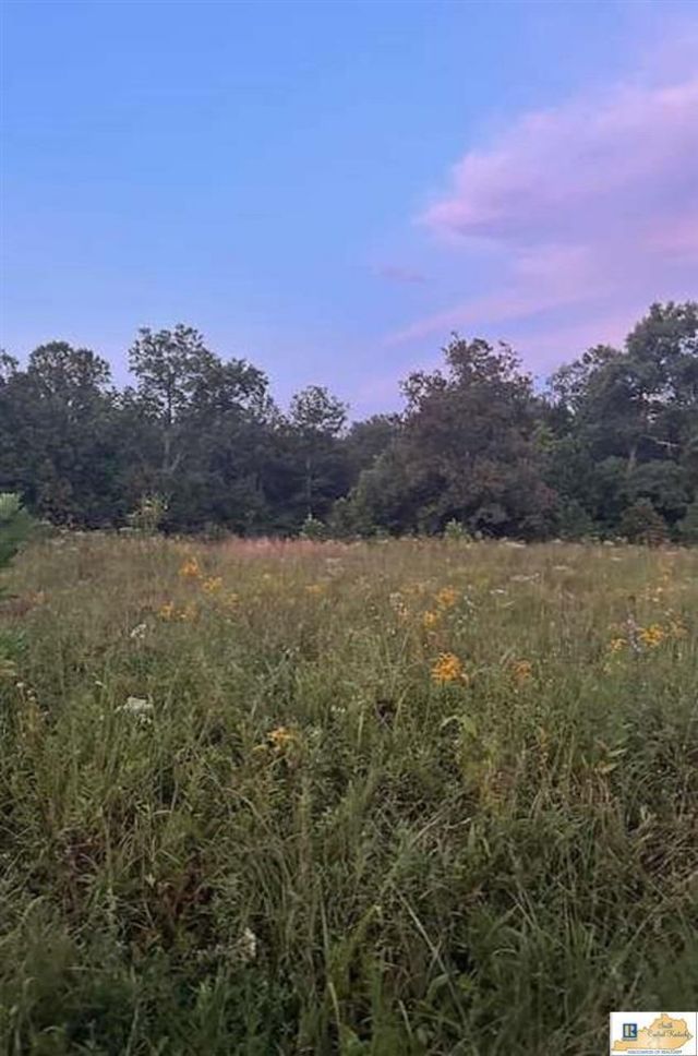 1650 Levi Beam Road , Munfordville, KY 42757 Main Photo