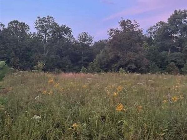 1650 Levi Beam Road , Munfordville, KY 42757