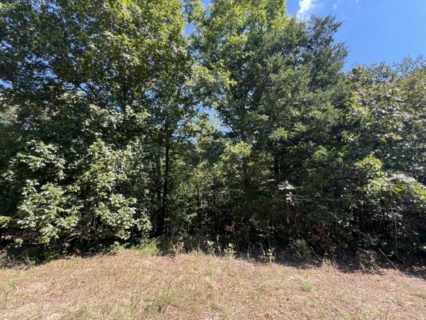 0 Piper Road, Unit 65, Bon Aqua, TN 37025