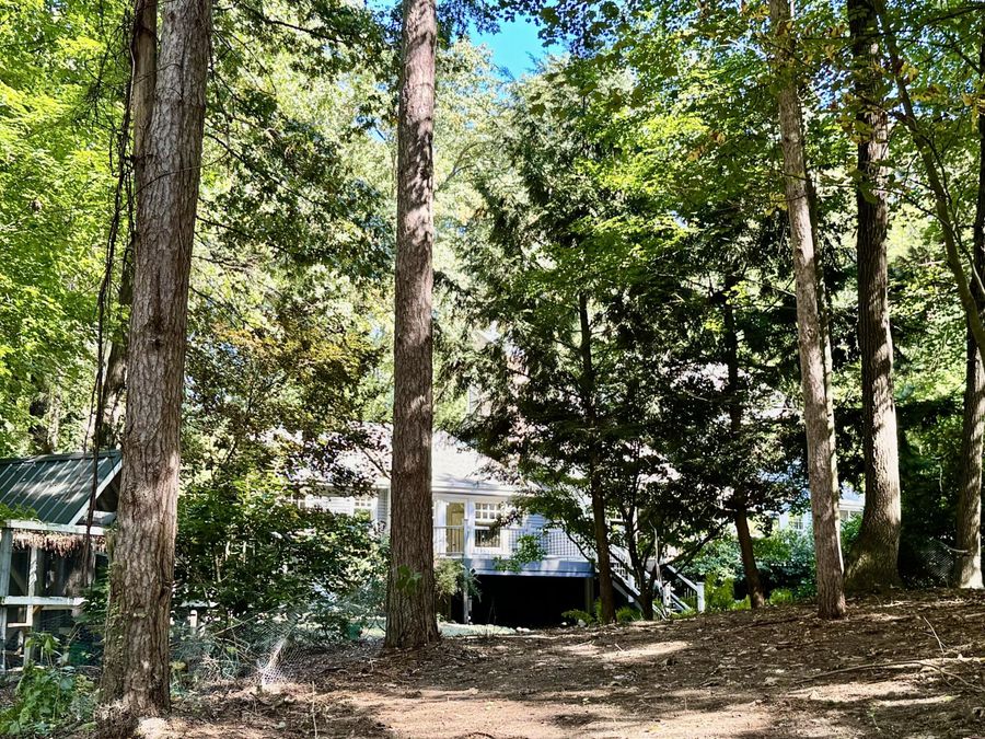 Property Image 41