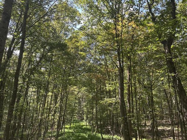 Lot 13 Hickory Hollow Sub Road, Tracy City, TN 37387