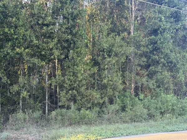 00 Hillcrest Loop, Petal, MS 39465