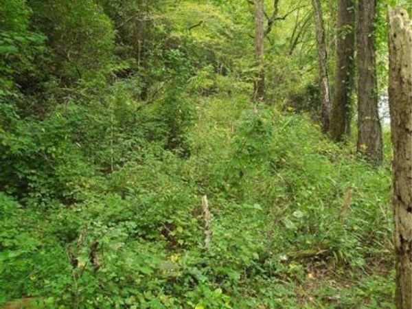 00 Marie, Talking Rock, GA 30540