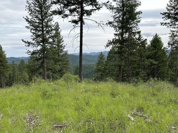 36XX Lot Q Sheridan Rd, Republic, WA 99166