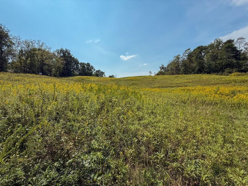 695 R Hazelton Road, Corinth, KY 41010 Photo 47