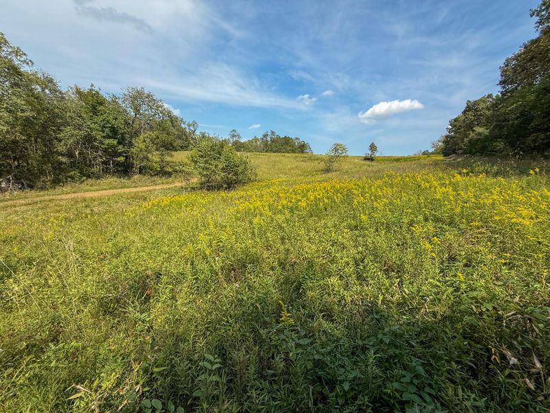 695 R Hazelton Road, Corinth, KY 41010 Photo 7