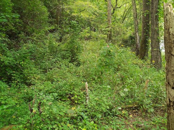 00 Marie, Unit LOT 1800, Talking Rock, GA 30175