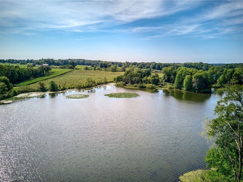 3365 Lake Rockwell Road, Ravenna, OH 44266 Photo 4