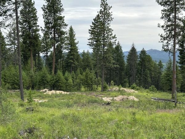 36XX Lot P Sheridan Rd, Republic, WA 99166