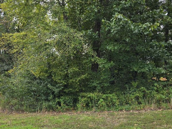 Lot 1 Sugar Maple Court, Madisonville, TN 37354
