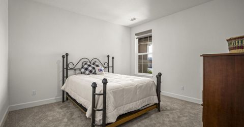 704 Daylily Lane, Minden, NV 89423 Photo