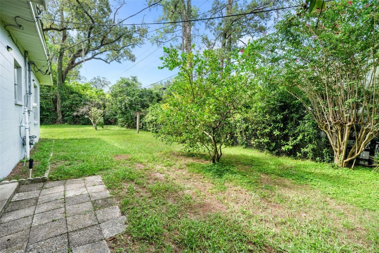 300 NW 34th Drive, Gainesville, FL 32607 Photo