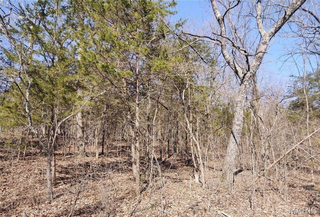 0 Rose Drive , Bonne Terre, MO 63628 Main Photo