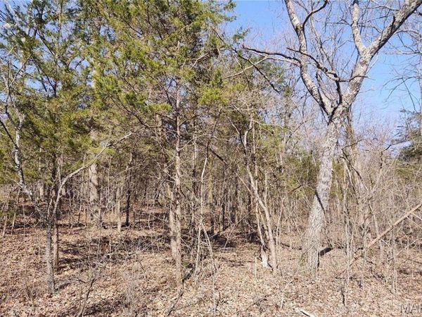 0 Rose Drive , Bonne Terre, MO 63628