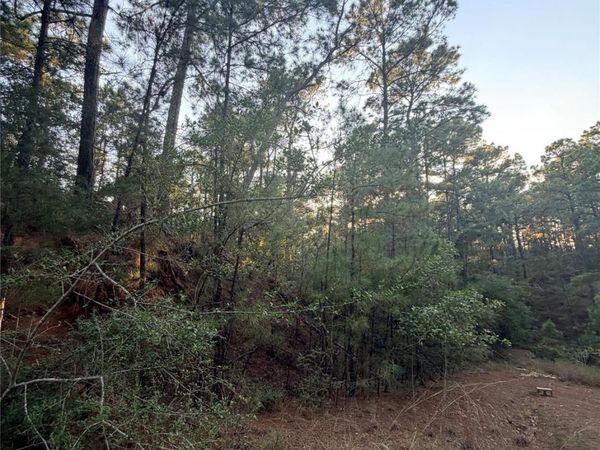 TBD Okoe CT, Bastrop, TX 78602