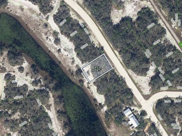 244 LAKELAND Drive, Lake Placid, FL 33852