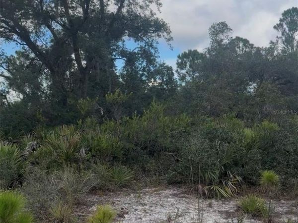 3513 TURIN STREET , LAKE PLACID, FL 33852