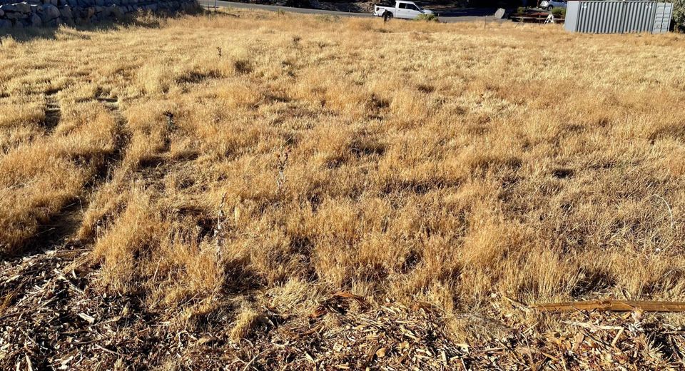 370 Hoge Road, Reno, NV 89506 Photo