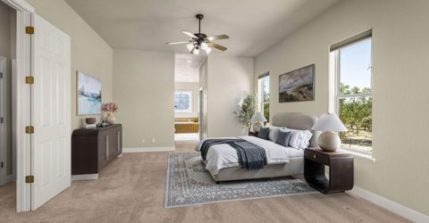 4805 Leo Bingo Court, Washoe Valley, NV 89704 Photo