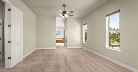 4805 Leo Bingo Court, Washoe Valley, NV 89704 Photo