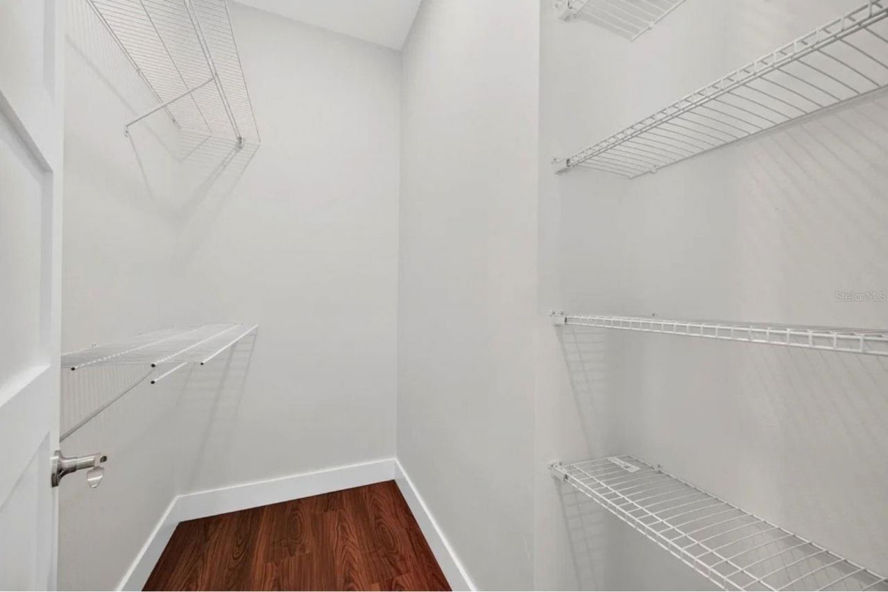 8003 Chaney Lane, Tampa, FL 33617 Photo