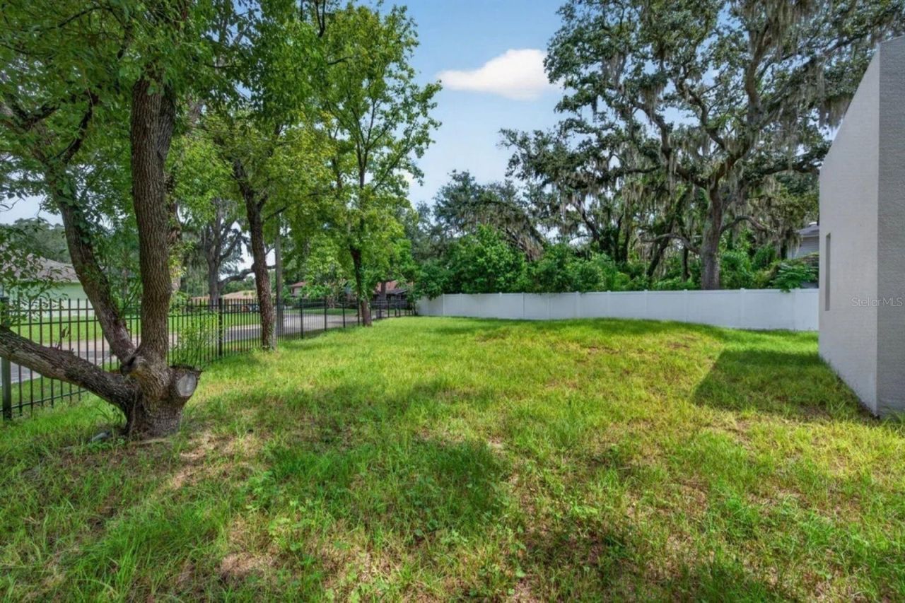 8003 Chaney Lane, Tampa, FL 33617 Photo