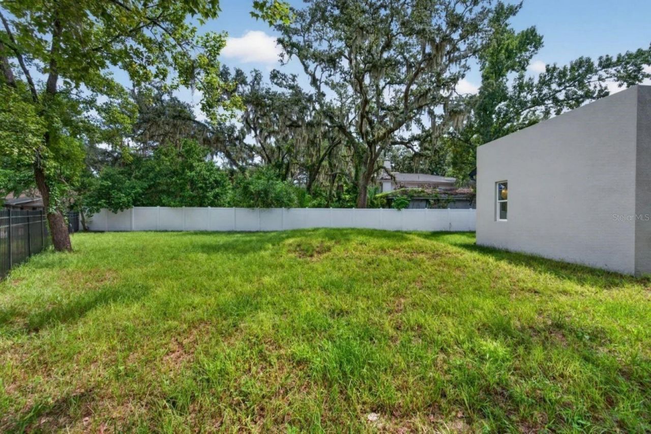 8003 Chaney Lane, Tampa, FL 33617 Photo