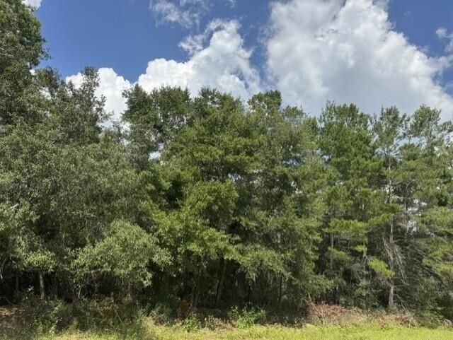 Lot 8 Bushton Street, Navarre, FL 32566 Main Photo