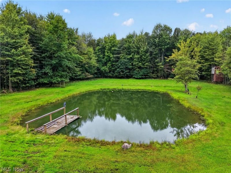 4393 Middle Road, Conneaut, OH 44030 Photo 5