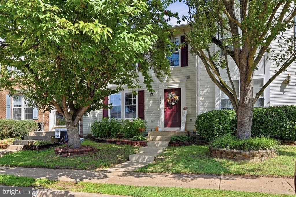 7049 Rogue Forest Lane, Gainesville, VA 20155 Main Photo