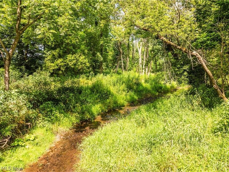 Blake Road, Wadsworth, OH 44281 Photo 10
