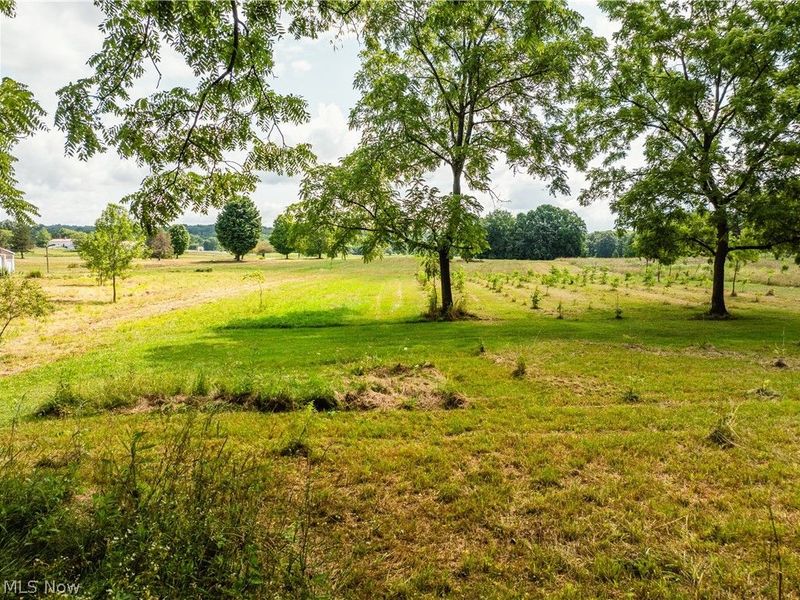 Blake Road, Wadsworth, OH 44281 Photo 11