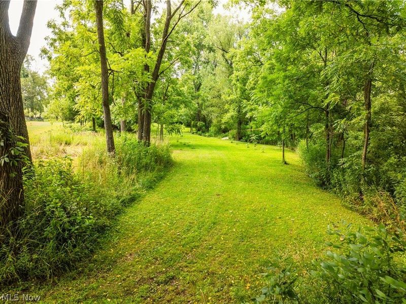 Blake Road, Wadsworth, OH 44281 Photo 12