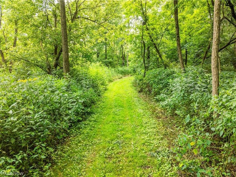 Blake Road, Wadsworth, OH 44281 Photo 13