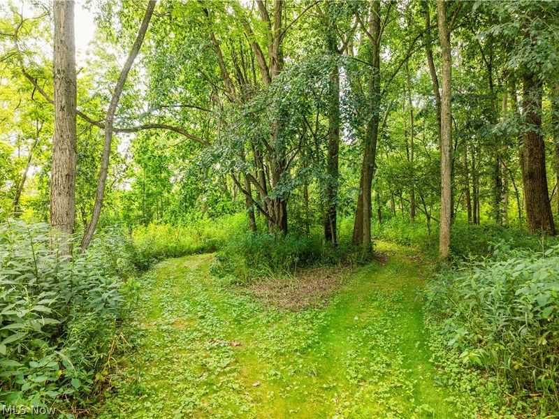 Blake Road, Wadsworth, OH 44281 Photo 14