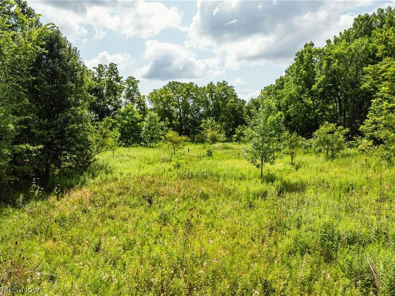 Blake Road, Wadsworth, OH 44281 Photo 16