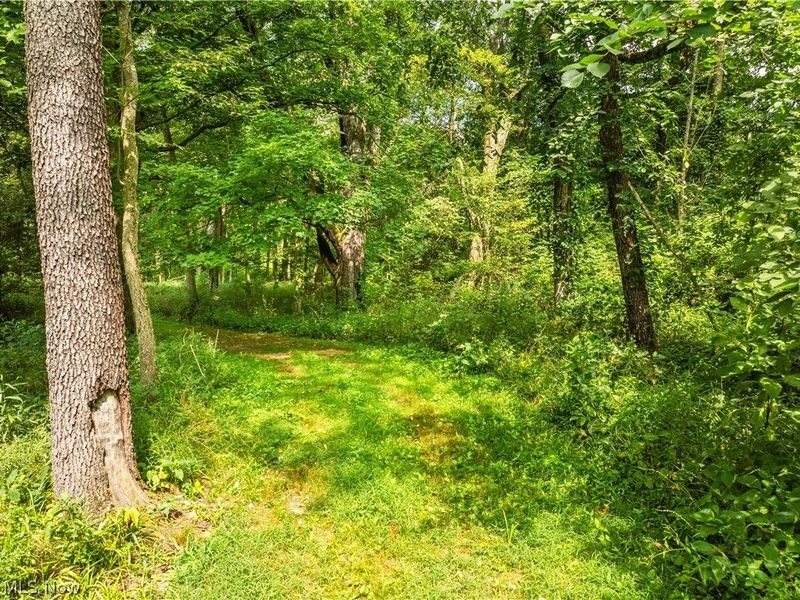 Blake Road, Wadsworth, OH 44281 Photo 17